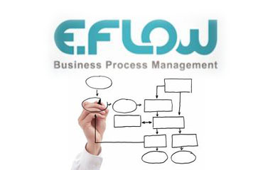 E-Flow İş Akışı Yönetimi